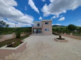 Villa Hirundinidae