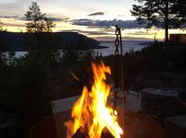 High standard In nature One hour from Oslo Fantastic wiews - Family friendly