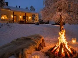 Nordic Villa in Rovaniemi with a Private Sledding Hill, Sauna & Cozy Family Stay