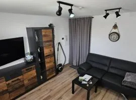 Ferienwohnung Wildgans 2 Dollart Ostfriesland
