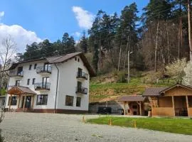 Vila de Sub Pădure