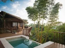 Pura Vida Ecolodge