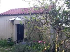 Le Clos de la Bambouseraie