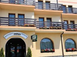 Pensiune Restaurant Indus, hotel din Ocna Sibiului
