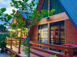 Wooden Huts In Mestia