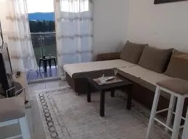 Apartman OSEA