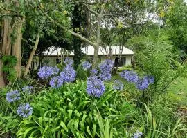 Country Cottage in Imbil - Mary Valley