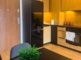 Tabago Studio 44 Zduńska Wola, Matejki