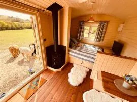 The Woolly Retreat Alpaca shepherds hut