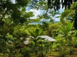 Beach Treehouse Ocean Views 2m walk to Beach