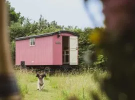 Bunkers Hill Farm