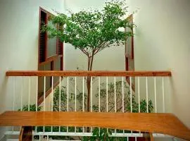 An House Homestay