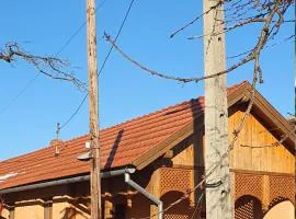 Iulian's Wineyard House Carei, near Thermal Spa