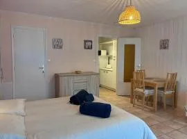 studio du bord de mer - à deux pas du centre