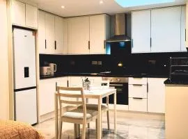 Stylish Studio Near Wembley Stadium