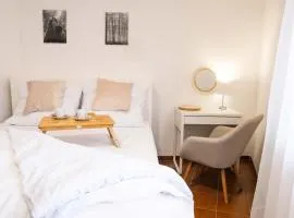 Malý domek u Prahy v Ladově kraji