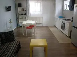 Bună Ziua apartment Tonitza Nic.