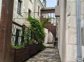 Gîte familial au cœur de Saint-Aignan séjour idéal 3 nuits à 5 min du Zoo de Beauval