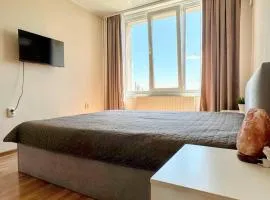 Flyspot Apartment