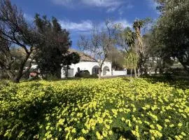 El Olivo