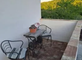 Apartma Sofia
