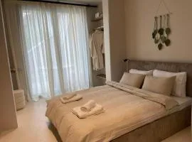 Vaios Luxury Apartments