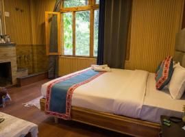 Sony Place Villa and Resort, hotel v destinácii Kasol