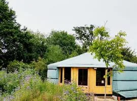 Big & luxurious eco-tiny house in nature & near Brussels