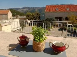 Oli's Place
