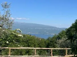 Dream Gardasee Chalet con giardino mediterraneo