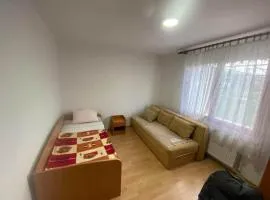 Dom