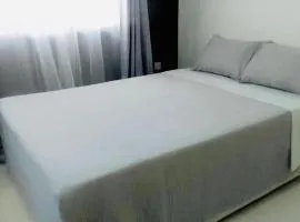 Greystones Apartment