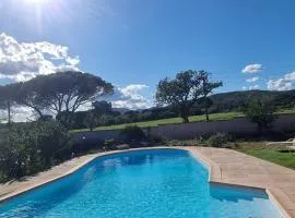 Le Cocon des Vignes