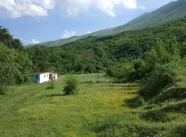 Farm Zeko