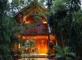 Private Organic House