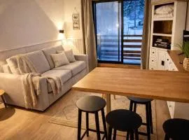 Appartement sur les pistes , résidence familiale