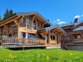 Chalet de luxe aux Gets avec jacuzzi et animaux admis, proche pistes - FR-1-598-89