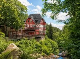Waldgasthaus & Berghotel Steinerne Renne