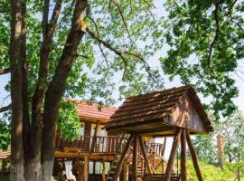 Crama Tudor โรงแรมในSadova