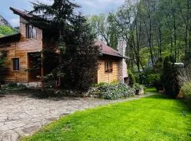 Cabana MIA Valisoara