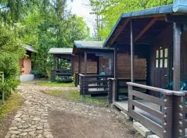 Bungalow Camping Edelweiss - Floare de colt - Gyopár