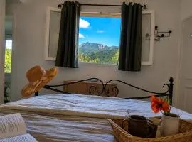 Studio avec vue, calme absolu, en pleine nature