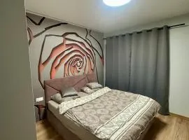 Apartament Kopernika