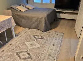 Erillistalo
