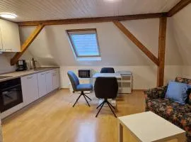 Top-floor apartment for up to 3 guests