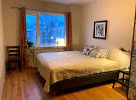 Spacious & cosy apartment - ideal location Majorstuen