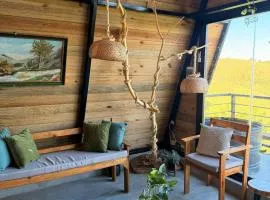 Alpine Cabin PR 2026