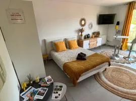 Fully equipped studio