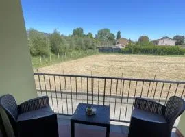 A casa di Any
