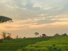 Kammi Nest Canggu